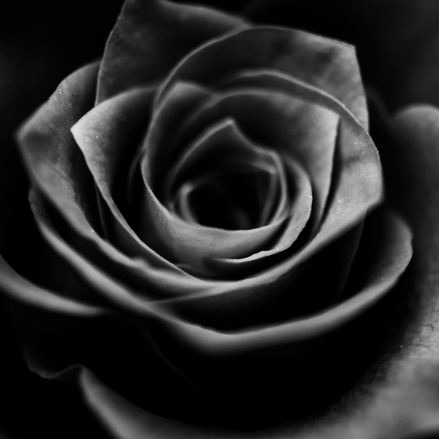 The Pleasure Box - Sensual